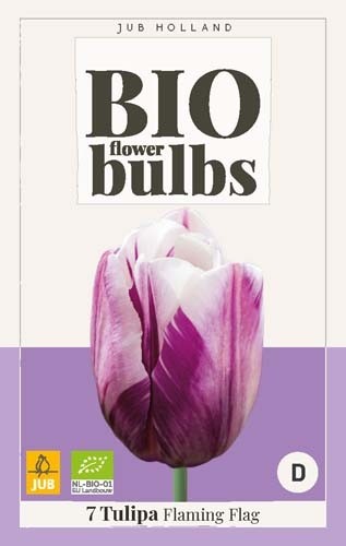 Tulipa 'Flaming Flag' biologisch