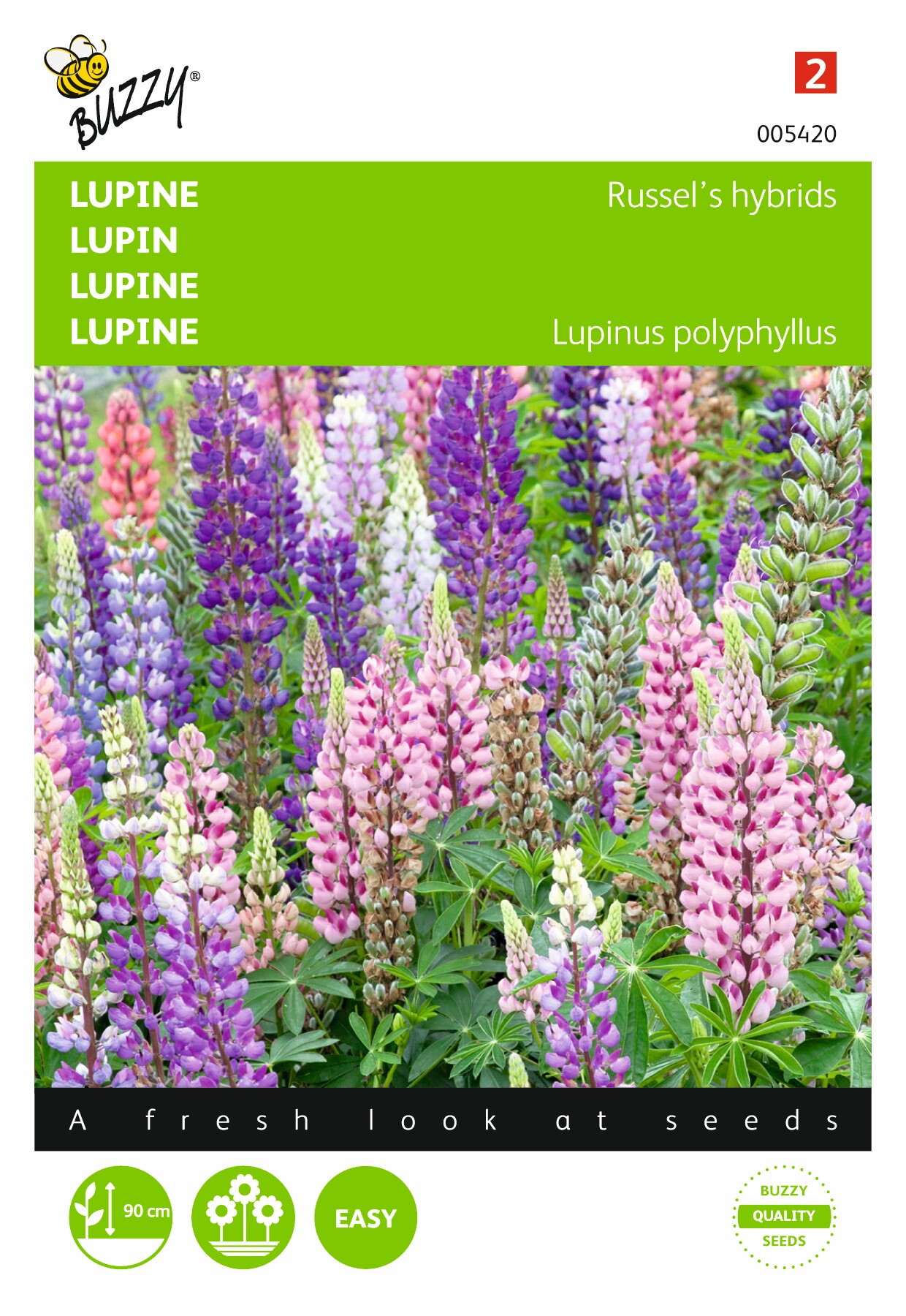 Lupinus polyphyllus Russell´s hybrids mix