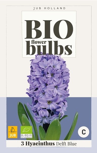 Hyacinthus 'Delft Blue' biologisch
