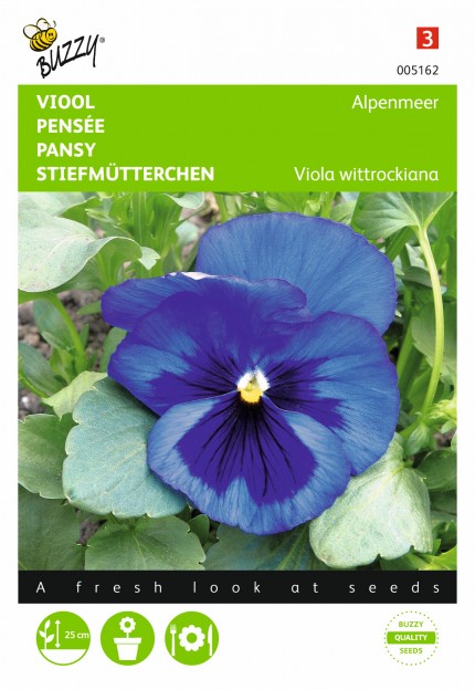 Viola wittrockiana 'Alpenmeer'