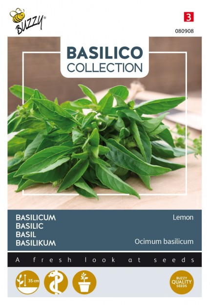 Basilicum 'Lemon'