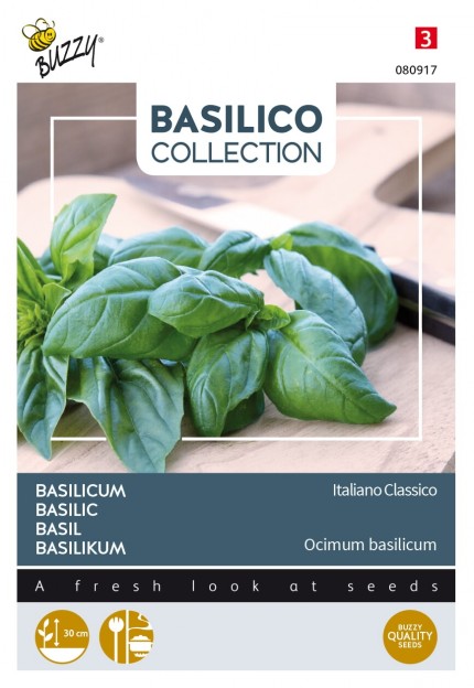 Basilicum 'Italiano Classico'