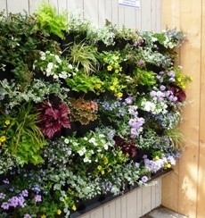 Minigarden verticale tuin
