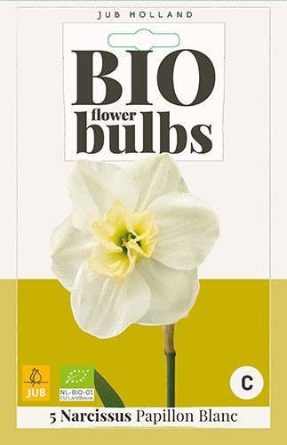 Narcissus 'Papillon Blanc' biologisch
