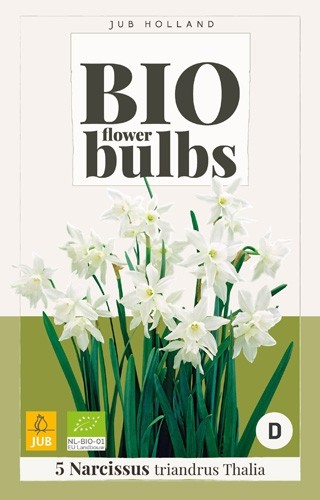 Narcissus triandrus 'Thalia' biologisch