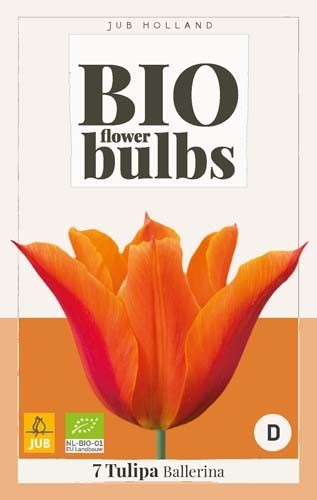 Tulipa 'Ballerina' biologisch