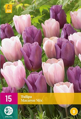 Tulipa 'Macaron' mix