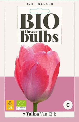 Tulipa 'Van Eijk' biologisch